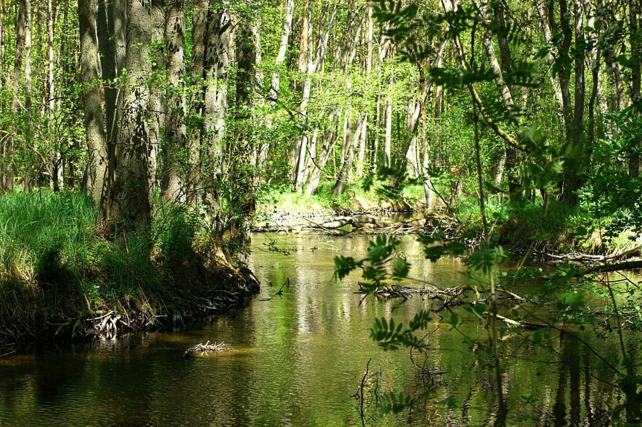 Вілла Ferien Am Hegensteinbach Фюрстенберґ-Гафель Екстер'єр фото