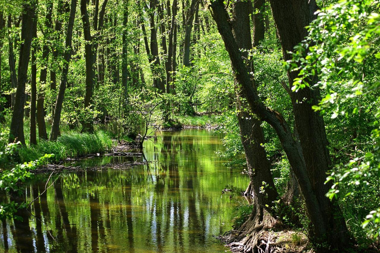 Вілла Ferien Am Hegensteinbach Фюрстенберґ-Гафель Екстер'єр фото